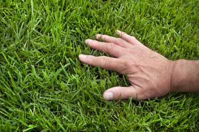 Get Lawn Aeration to Improve the Appearance of Your Lawn!