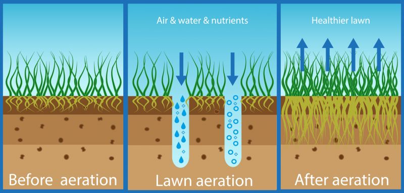 Soil Condition