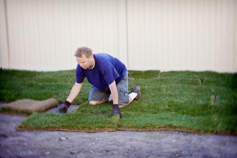 Yard Sod Replacement in Ventura County, CA