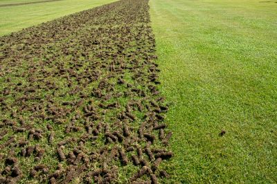Make Your Grass Stronger and More Resilient with Lawn Aeration Service!
